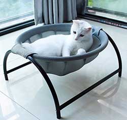 Cat Hammock