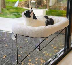 Window Cat Bed 