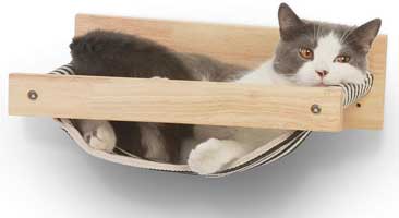 Cat Hammock 