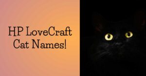 hp lovecraft cat name