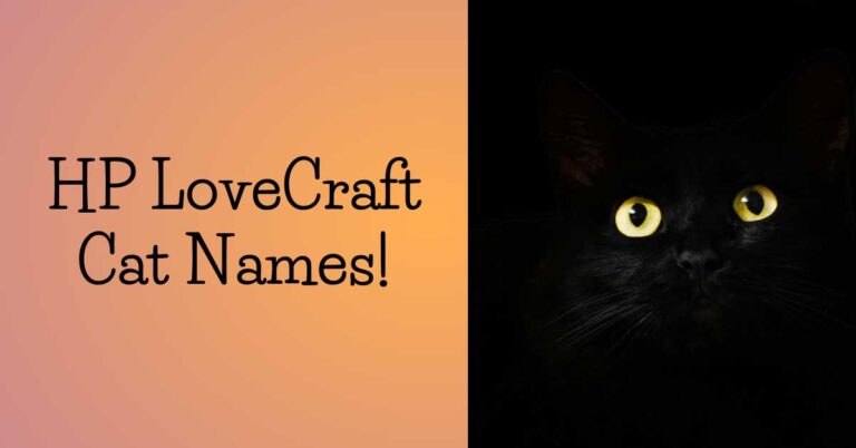 hp lovecraft cat name