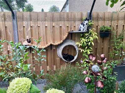 outdoor cat tree