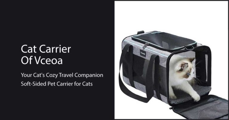 Cat-Carrier-Of-Vceoa