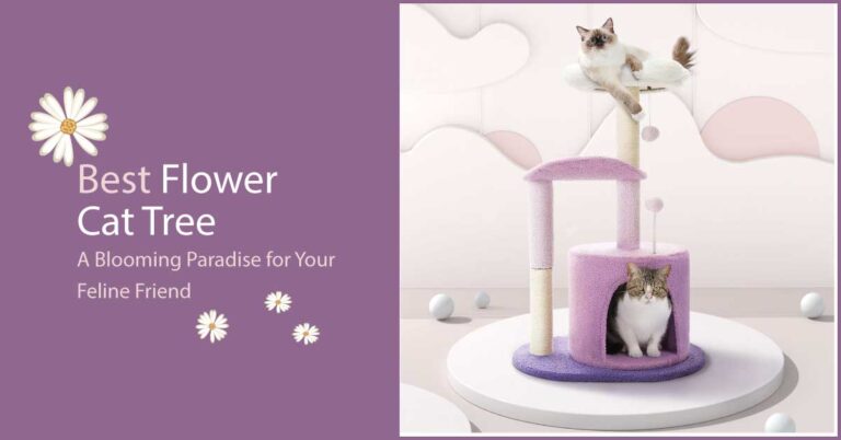 10 Best Flower-cat-tree