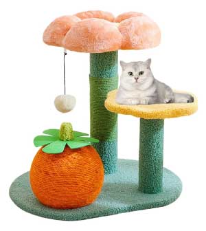 Best Flower-cat-tree